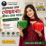 ২ পিস-ক্যাপসিকাম মসলা বক্স - Image 2