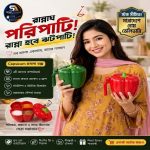 ২ পিস-ক্যাপসিকাম মসলা বক্স - Image 4