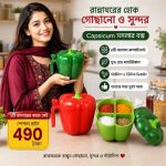 ২ পিস-ক্যাপসিকাম মসলা বক্স
